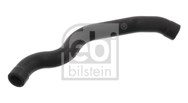 Hose, crankcase ventilation